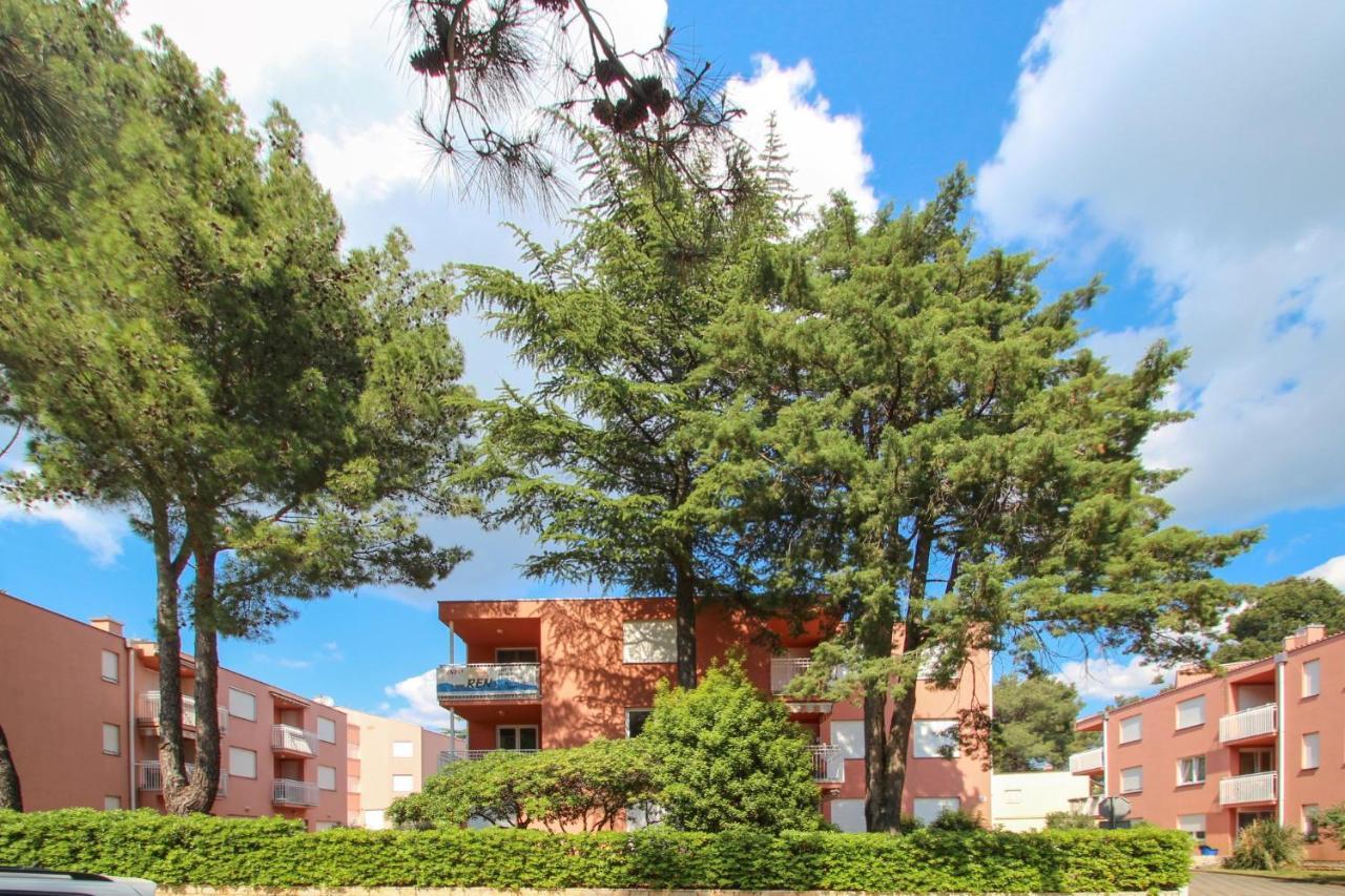 Vesna S Apartment Novigrad Istria 외부 사진